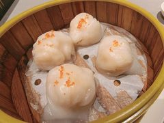 -采蝶轩