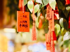 -南京大牌档(三阳广场苏宁店)