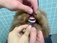 -哈尼爱宠·宠物生活会馆