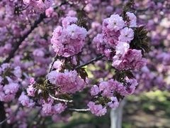 -朝阳公园