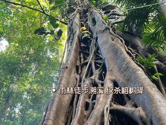 -大理洱海