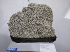 -中国第四纪冰川遗迹陈列馆