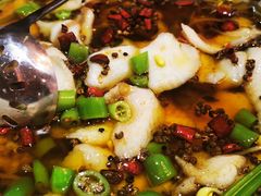 麻辣水煮鱼-青年公社烤鸭(青年路店)