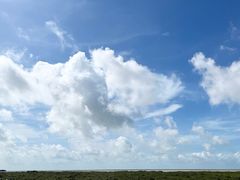 -北海金海湾红树林生态旅游区