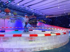 -宁波冰雪大世界(北仑区)