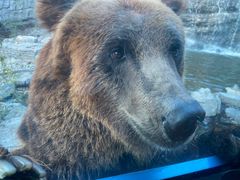 -北京野生动物园