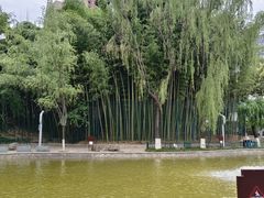 -西安市长乐公园