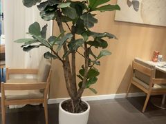 -鹿港小镇(黄金店)