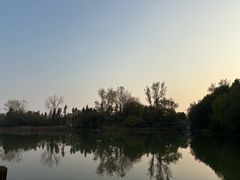 -溱湖国家湿地公园