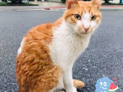 -南京医科大学(江宁校区)