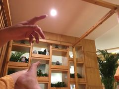 -热带雨林汗蒸馆(汶水东路店)