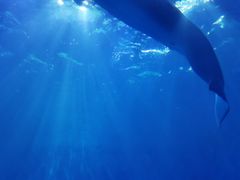 -多彩贵州城极地海洋世界