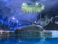 -芜湖新华联大白鲸海洋公园