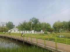 -金银湖国家城市湿地公园