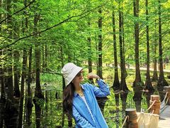 -桤木河湿地公园