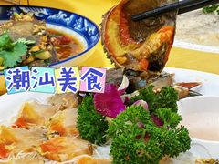 -官塘陈记鱼生·潮汕砂锅粥·牛肉火锅(潮枫路总店)