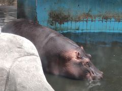 -新疆天山野生动物园