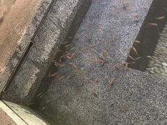 -明谷行馆·温泉