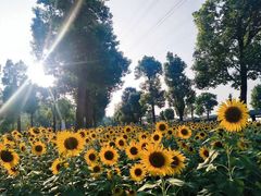 -仙岳公园