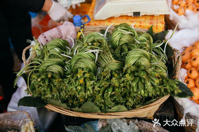 到处都洋溢出努力生活的喜悦
