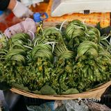 到处都洋溢出努力生活的喜悦