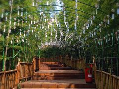 -陶祖圣境风景区