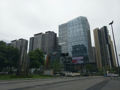 -合景·悠方(成都店)