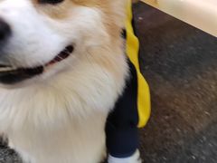 -星巴克(长沙友阿奥特莱斯店)