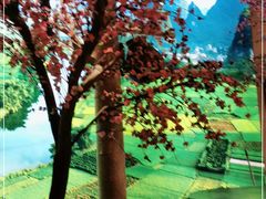 -寻钵记民菜馆·正宗常德钵子菜(滨湖路店)