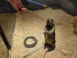 -酷嗒动物文化乐园(cutezoo西溪乐天城店)