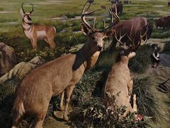 -陕西自然博物馆