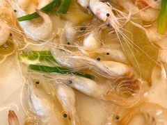 野生白米虾-天桥饭店·特色海鲜(金山嘴渔村店)