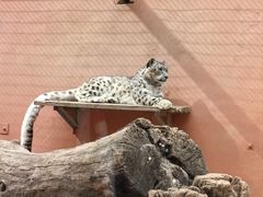 -青藏高原野生动物园