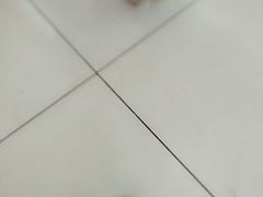 -粤海铁路北港码头