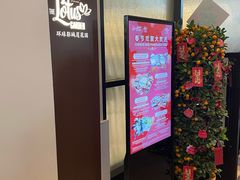 -环球影城莲花园 The Lotus Garden Universal Studios 