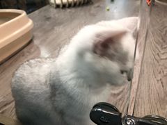 -宠物世家(仲盛世界商城店)