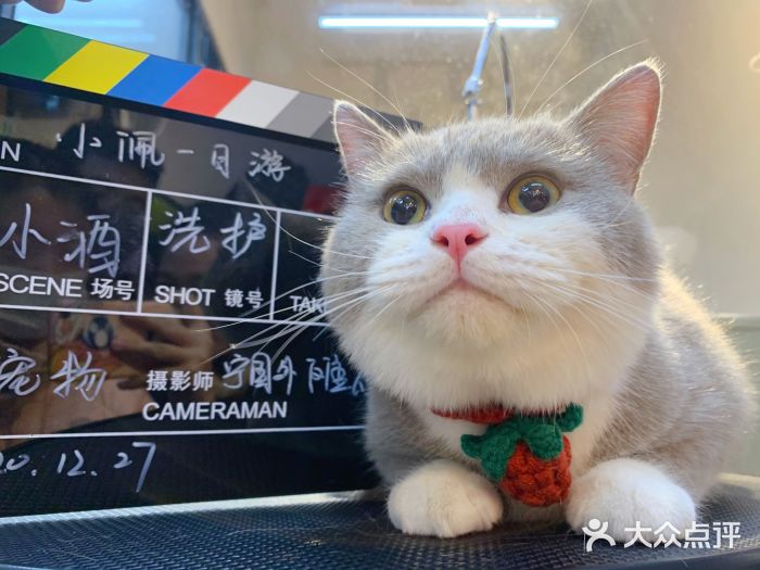 petkit小佩宠物(宁国外滩店)图片