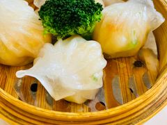-星湖愉景酒家