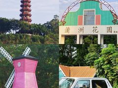 -南沙蒲洲花园