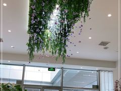 -卓花境Flowerwonderland花店