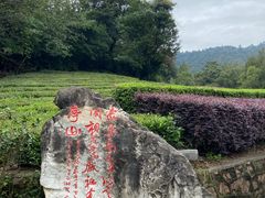 -敬亭山风景名胜区