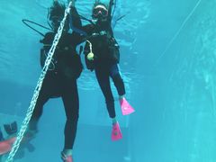 -上海潜殿潜水中心