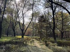 -长白岛森林公园