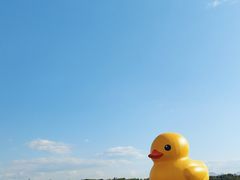 -深圳人才公园