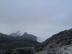-自游人·美食一楼·地道徽菜(三十年名店)