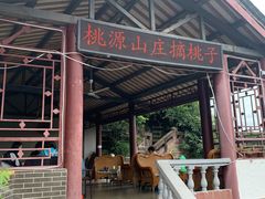 -桃源山庄·水蜜桃采摘·柴火鸡·烧烤团建(龙泉山店)