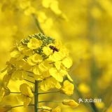 旅游攻略|重庆这3个景点推荐