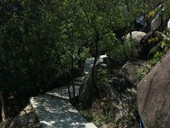 -火炉山森林公园