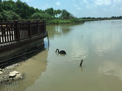 -东滩湿地公园观海楼餐厅