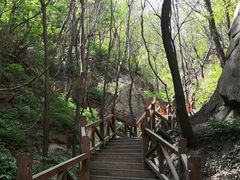-大岭沟猕猴桃谷风景区